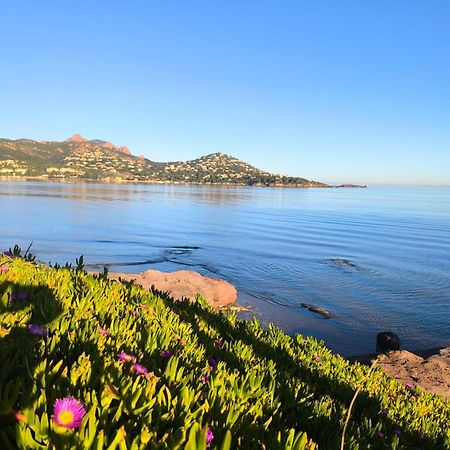 Vacances En Paradis Saint-Raphaël Exteriér fotografie