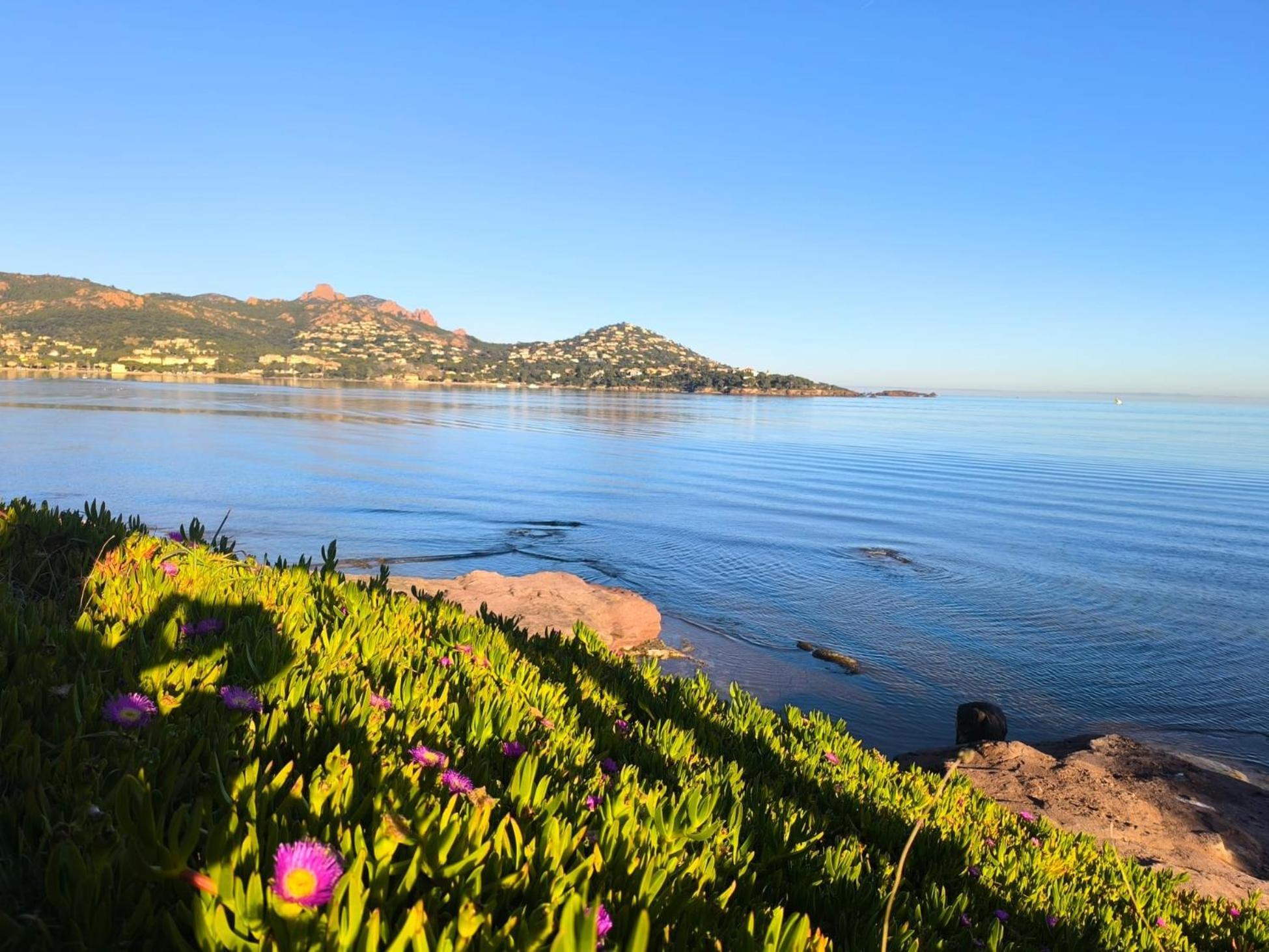 Vacances En Paradis Saint-Raphaël Exteriér fotografie